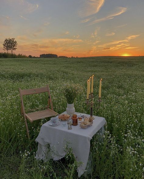 Field Picnic, Photos In Field, Bible Chapters, Life In Nature, Aesthetic Picnic, Picnic Birthday, Wish Board, Always Forever, Country Side