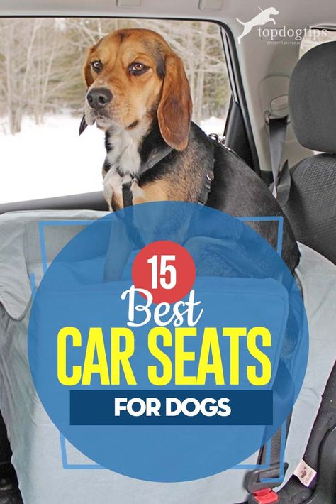 Car Seats For Dogs, Small Dog Car Seat, Dog Car Booster Seat, Dog Car Travel, Car Seat Stroller Combo, Pet Booster Seat, Dog Car Safety, Dog Hammock For Car, Best Small Dogs