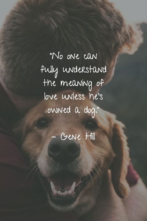 The Meaning Of Love, Puppy Quotes, Pet Quotes, Dog Quotes Love, Dog Quotes Funny, Dog Information, Meaning Of Love, Must Love Dogs, Dog Pin