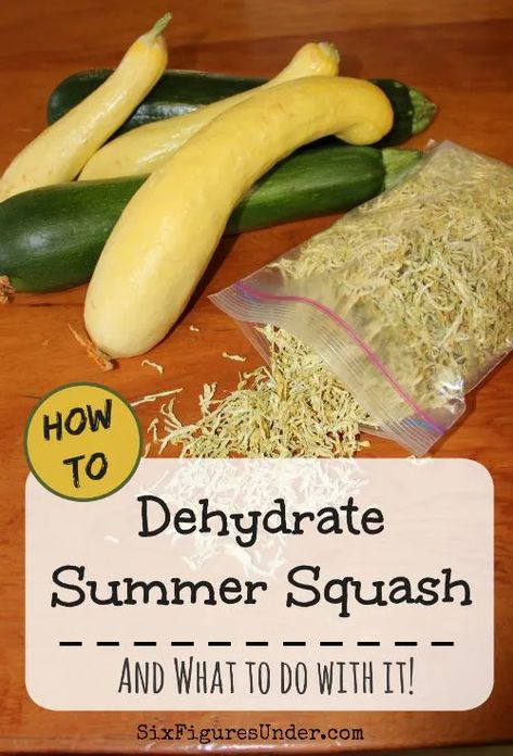 How to Dehydrate Zucchini and Yellow Squash - Six Figures Under Dehydrate Zucchini, Squash Growing, Dehydrating Food Storage, Food Dehydration, Yellow Squash Recipes, Dehydrated Vegetables, Canning Food Preservation, Diy Easy Recipes, Canned Food Storage