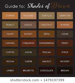 Brown Color Chart Stock Illustrations ... Brown Tone Color Palette, Dark Brown Palette, Dark Brown Color Palette, Brown Color Names, Color Names Chart, Nude Color Palette, Color Knowledge, Brown Color Palette, Dark Brown Color