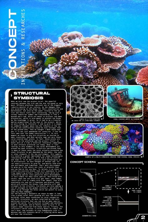 Architectural Ideas for Repurposing Oil rigs Coral Concept Architecture, Corals Architecture, Coral Reef Structure, Coral Reef Architecture, Coral Inspired Architecture, Nature Architecture Concept, Mindmap Design, Coral Building, Coral Architecture