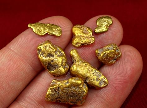 Wyoming Gold - Rich Mining and Panning Areas - RareGoldNuggets.com Neurons Wallpaper, Gold Sluice, Gold Mining Equipment, Gold Reference, Raw Gold, Gold Cost, Natural Gold Nugget, Gold Deposit, Gold Panning