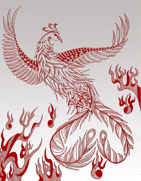 vermilion bird of the south | Vermilion Bird (朱雀) of the South | Flickr - Photo Sharing! The Vermillion Bird of the South was the god of fire and a symbol of good luck and summer. Vermilion Bird Of The South, Vermillion Bird Chinese, Pheinox Bird, Vermillion Bird, Iron Widow, Vermilion Bird, Chinese Mythology, Bird Tattoo, Great Wall Of China