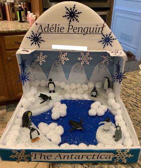 Adelie penguins diorama for my first grader Penguin Diarama For Kids, Penguin Projects For Kids, Penguin Habitat Shoebox Project, Christmas Diorama Ideas For Kids, Artic Habitat Project For Kids, Arctic Diorama For Kids, Penguin Diorama, Penguin Project, Penguins Project