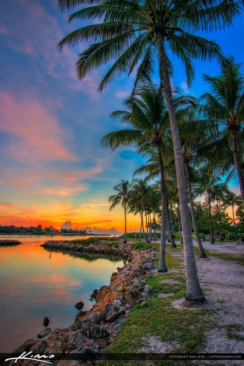 Sunrise getting ready to break the clouds at Jupiter Inlet from Dubois Park under the coconut tree. HDR image tone mapped using Aurora HDR software by Macphun. Beach Trees, Brickell Miami, Best Vacation Destinations, Jupiter Florida, Beach Pink, Coconut Trees, Exotic Beaches, Visit Florida, Tropical Beaches