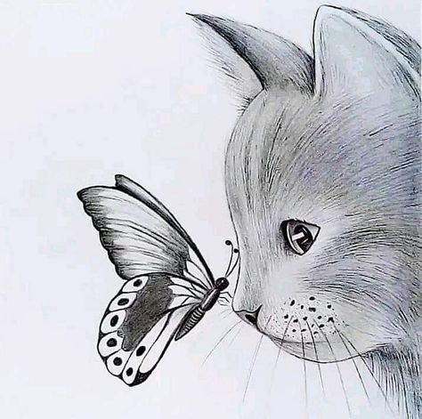 Minimal Tattoo Designs, Minimal Tattoo Ideas, Pencil Sketches Easy, Butterfly Sketch, Cats Art Drawing, Kitten Drawing, Nature Art Drawings, Pencil Sketch Images, Cat Sketch