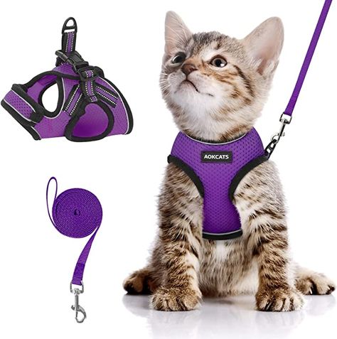 Pet Supplies : AOKCATS Cat Harness and Leash Set, Escape Proof Soft Adjustable Kitten Vest Harnesses for Walking with Reflective Strips Breathable Mesh Kitty Jacket for Small Cats Comfort Easy Control, Purple, S : Amazon.com Harness For Cats, Hot Gril, Kitten Harness, Cat Harness And Leash, Spoiled Pets, Harness And Leash Set, Pet Things, Cat Leash, Cat Harness