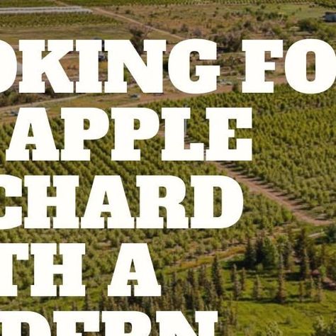 Western CO Real Estate on Instagram: "A modern farmhouse with a 28-acre apple orchard? Sign us up! 🙌 This gorgeous orchard property for sale is on Redlands Mesa, and it’s brimming with apples and opportunities. It includes a 2-bed, 2-bath modern farmhouse, a huge shop, piped irrigation, and a fully-established apple orchard. It even comes with a conservation easement, so you’ll always be surrounded by nature. ☀️ 📍 12148 Burritt Road, Hotchkiss, Colorado, 81419 Listed by @coloradocountrybroker Hotchkiss Colorado, Colorado Landscape, Apple Orchard, Bed 2, Land For Sale, 2 Bed, Modern Farmhouse, Apples, Always Be