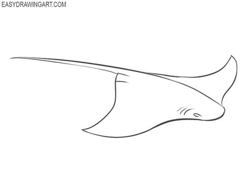 How to Draw a Stingray | Easy Drawing Art Filipino Tattoo Ideas, Stingray Logo, Swim Team Shirt, Sea Sketch, Stick And Poke Ideas, Stingray Tattoo, Ray Tattoo, Ocean Drawing, Drawn Fish