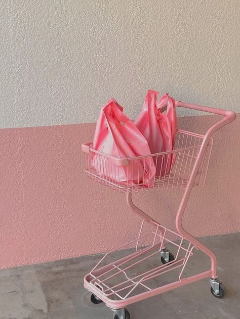 Pink Shopping, Soft Pink Theme, Baby Pink Aesthetic, Chai Spice, Rainbow Aesthetic, Buying Process, Boutique Interior, Pink Vibes, Monday Tuesday