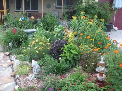 Florida Cottage Gardens - what plants and why? Native Plant Landscape, Florida Cottage, Florida Native Plants, Butterfly Garden Design, Florida Gardening, Homestead Gardens, Garden Planner, Garden Design Plans, Cottage Gardens