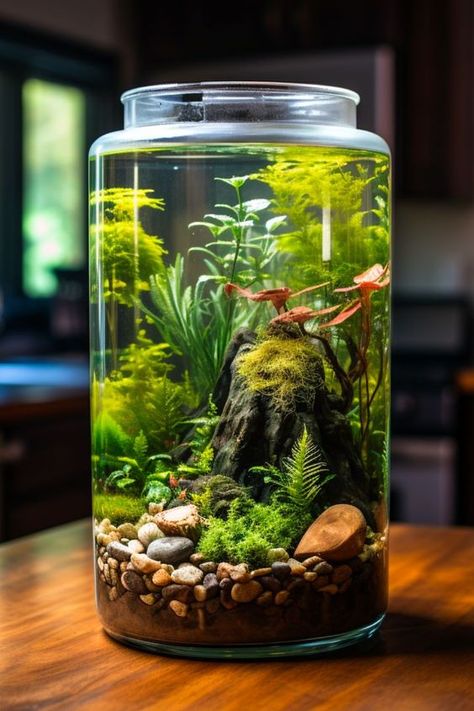 Add a splash of life to your decor with a vibrant shrimp jar setup. Our blog post breaks down the essentials, making it easy for anyone to get started. Click through for a comprehensive guide to creating your own aquatic masterpiece. Planted Jar Aquarium, Aquatic Garden Fish Tanks, Simple Planted Aquarium, Simple Aquarium Ideas, Beta Tanks, 10 Gallon Tank Ideas, Paludarium Ideas, Shrimp Tanks, Beta Tank