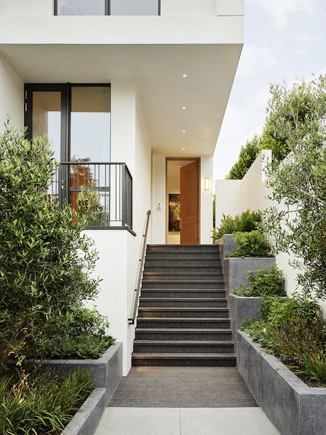 SF Modern (Image: Matthew Millman) House Entrance Stairs Exterior, House Entrance Stairs, Outdoor Stairs To House Entrance, Landscape Stairs, Mountain Home Exterior, Front Stairs, Front Wall Design, Spanish Modern, Exterior Wall Tiles