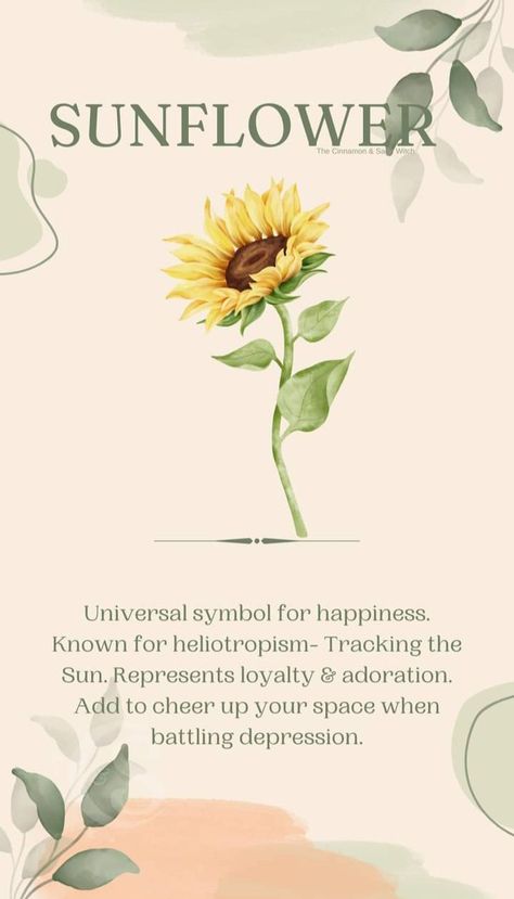 Sunflower Meaning, Plant Meanings, Flower Symbolism, God Apollo, Floral Photos, Floral Doodles, Happiness Symbol, Water Nymph, Flower Magic