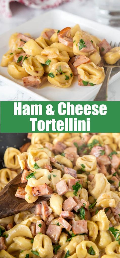 Ham & Cheese Tortellini - use that leftover ham to make this easy creamy tortellini dinner in 20 minutes! Great one pan meal any night of the week! Ham Tortellini, Ham And Cheese Tortellini, Clean Eating Pasta, Crock Pot Tortellini, Cheese Tortellini Recipes, Tortellini Recipe, Creamy Tortellini, One Pan Meal, Crockpot Ham