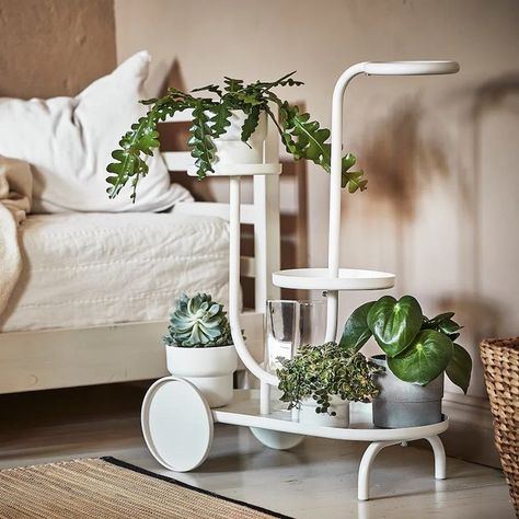 These are the most unexpected IKEA new arrivals for fall 2021, including lamps, storage, office supplies, and more. Plant Stand With Wheels, Ikea New, Support Pour Plante, Ikea Store, Support Plante, Ikea Diy, Ikea Furniture, Diy Patio Furniture, Interior Design Trends