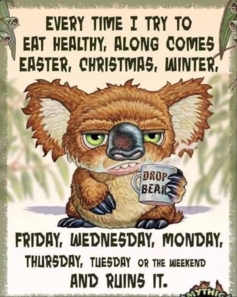 Bear Quotes, Drop Bear, Funny Day Quotes, Funny Cartoons Jokes, Funny Good Morning Quotes, Good Morning Funny, Funny Quotes Sarcasm, Funny Jokes For Adults, Funny Cartoon Quotes