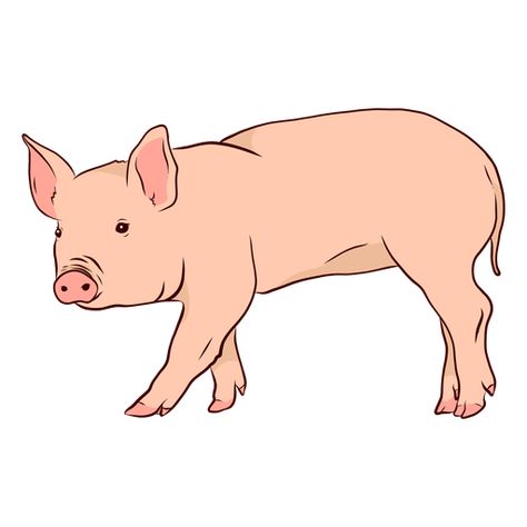 Pig Snout, Pig Clipart, Graphic Image, Svg Design, Png Image, Png Images, To Sell, Tshirt Designs, Things To Sell