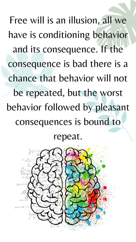 Free will is an illusion only we have is all we have is conditioning behavior and its consequence. The worst behavior followed by pleasant consequences is bound to repeat. #b f skinner #skinner #psychology_health #counseling #psychologist #counselingpsychology #psychotherapist #psychologystudents #neuropsychology #psychologyfacts #psychologytoday #psychotherapy#mentalhealth #mindfulness #mentalhealthawareness #psicologia #therapy #facts #relationships #lifecoach #truth #learn #conditioning Worst Behavior, Psychology Says, Counseling Psychology, Free Will, Changing Habits, Psychology Today, Psychology Facts, Mental Health Awareness, Psychologist