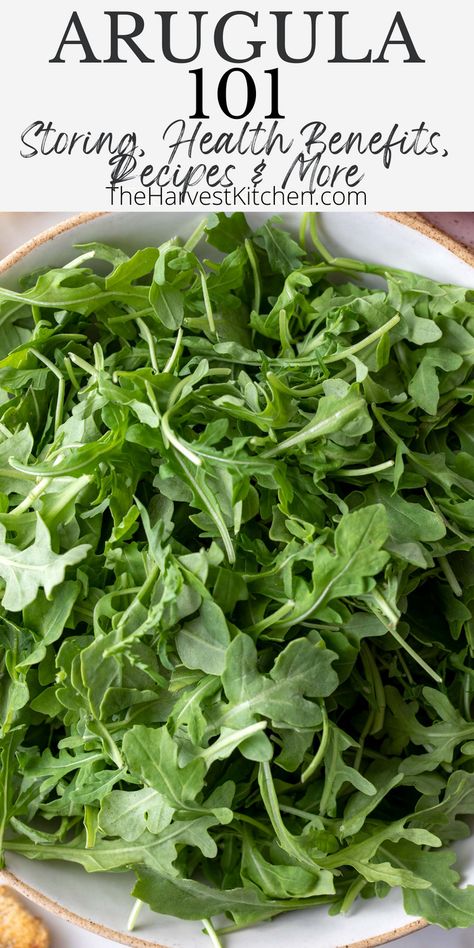 Learn everything there is to know about Arugula lettuce, like why is arugula called rocket, “rocket arugula” and “baby arugula”? What is arugula (is it really a lettuce?) and how to use it. Plus 7 arugula healthy recipes for inspiration. Arugula Recipes Cooked, What To Make With Arugula, Arugula Recipes Breakfast, Arugula Benefits Health, Baby Arugula Recipes, Recipes With Arugula, Wilted Arugula Recipes, Arugula Lunch Recipes, Arugala Recipes Salad