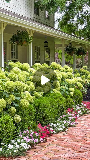 Skye Hamilton • Home & Garden • Hydrangea Queen on Instagram: "The formula for my front porch- @provenwinners Incrediball Hydrangeas planted 40 inches apart on center. Each hydrangea has a @monroviaplants Wintergem Boxwood planted in front 24 inches on center. This year, the bed is underplanted with a mix of @provenwinners Superbena Raspberry, Superbena Whiteout, and Superbena Pink Cashmere (in garden centers 2024) planted 18 inches apart.  #hydrangeaqueen #hydrangealove #hydrangea #hydrangeas #hydrangeahedge #incrediballhydrangea" Hydrangea Flower Bed, Incrediball Hydrangea, Garden Hydrangea, Hydrangea Landscaping, Boxwood Plant, Porch Colors, Garden Centers, Hydrangea Garden, Planting Hydrangeas