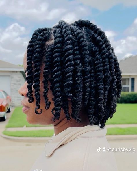 Twist On Natural Hair Short 4c, Twistout Natural Hair, Twist On Natural Hair, Natural Hair Short, Twists Braids, Flat Twist Hairstyles, Hair Twists, Natural Hair Stylists, Two Strand Twist