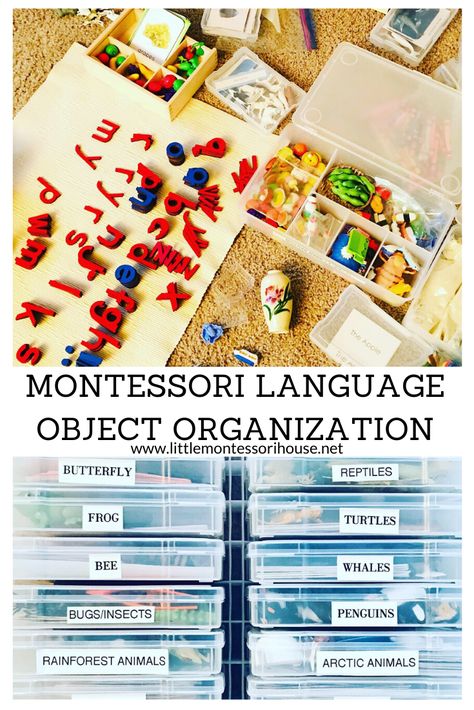 Montessori Organization Ideas, Montessori Organization, Homeschool Space, Montessori Activities Preschool, Montessori House, Bee Life Cycle, Montessori Language, Montessori Lessons, Montessori Diy