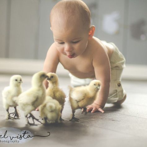 Baby With Chicks Photography, Baby Duck Photoshoot, Chick Photo Shoot, Baby Easter Crafts, Baby Easter Pictures, Easter Baby Photos, Easter Photoshoot, Duck Photo, Photography Mini Sessions