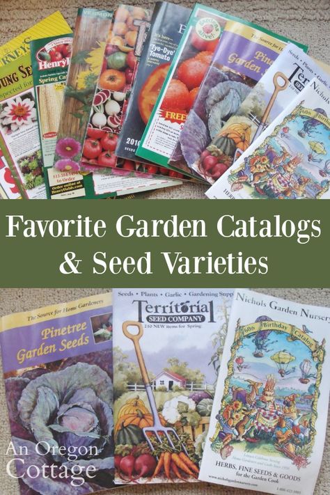 How and why to use free garden seed catalogs to learn and grow a great garden. Plus the best garden catalogs to have sent to your door and what seeds to look order. #gardening #catalogs #seedstarting Oregon Cottage, Heirloom Seeds Catalog, Pine Seeds, Free Mail Order Catalogs, Mail Order Catalogs, Free Mail, Saving Seeds, Garden Catalogs, Garden Of Earthly Delights