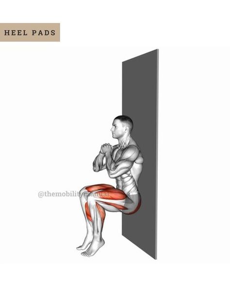 Knee Pain | Hip Pain | Relief on Instagram: "Are you struggling with squats?   💪 Try these 7 alternative exercises to build lower body strength and stability without the heavy lifting! 🚀   ⭐️ Heels Squat Slide Wall ⭐️ Heel pads ⭐️ Double Heel Lift Sit against Wall ⭐️ Clamshell Sit against Wall ⭐️ Alternate Leg Kick Sit against Wall ⭐️ Alternate Knee Cross Over Sit against Wall ⭐️ Alternate Ankle Tap Under Sit against Wall     —————— CHECK OUT BIO LINK 🔗 for: 📖 Full-Body Mobility Program💥 ——————   Tag someone who needs to see this ❤️   —————— Great post by @themobilitymanual —————— #ptvitals #kneepainaid #jointhealth #mobilitytraining #exercisetips #movementismedicine #functionalmovement #kneepain #kneepainrelief #kneepainexercises #kneeexercises #kneemobility #FitnessTips #LegDay #NoS Wall Squats, Mobility Program, Lower Body Strength, Hip Pain Relief, Knee Pain Exercises, Mind Health, Knee Exercises, Knee Pain Relief, Body Strength