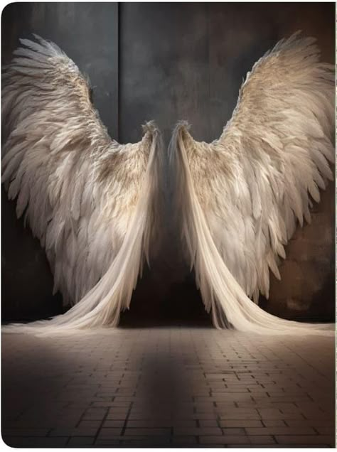 Angel Wings Photography, Innovative Design Ideas, Angel Wings Drawing, Angel Wings Illustration, Angel Wings Art, Angel Wings Wall, White Angel Wings, Angel Artwork, Heaven Art