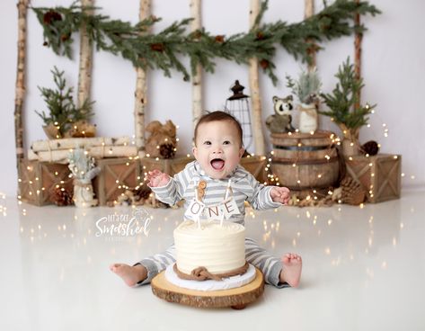 South Jersey Cake Smash Photographer, winter woodland theme, rustic, neutral, 1st Birthday backdrop-https://www.picture-perfectbackdrops.com/product-page/rustic-woods-60x80-with-lights-fleece Jersey Cake, Cake Smash First Birthday, First Birthday Winter, Winter Wonderland Cake, Cake Smash Theme, First Birthday Photography, Onederland Birthday Party, Boys 1st Birthday Party Ideas, Baby Boy 1st Birthday Party