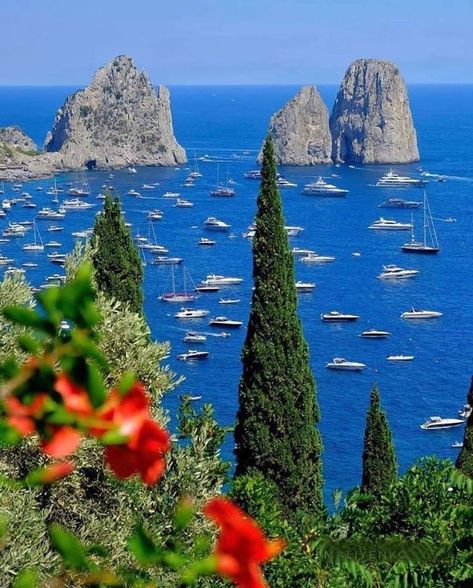 Capri Italia, Capri Island, Dream Life House, Landscape Beautiful, Capri Italy, Beautiful Dream, European Summer, Bellini, Travel And Tourism