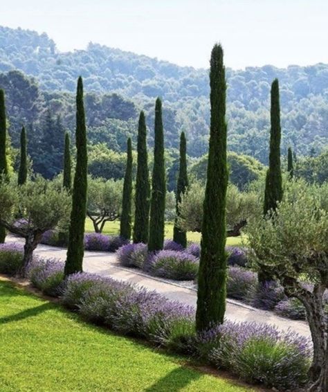 Modern Italian Garden Landscaping, Italian Landscaping, Italian Garden Landscaping, Mediterranean Garden Design, Provence Garden, Tuscan Garden, Driveway Landscaping, Mediterranean Landscaping, Italian Garden