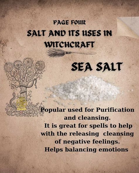 🧂✨ Salt: The Unsung Hero of Witchcraft! 🔮🕯️ Who knew that the same stuff you sprinkle on your chips could also ward off evil spirits? 😂 Here’s a salty guide to enhance your magickal practice: 🌊 **Sea Salt**: The OG of purification! Use it to absorb negative vibes and sprinkle it around your home for a protective barrier. It's like the bouncer of your sacred space! 🚫👻 🏔️ **Himalayan Pink Salt**: Not just for fancy salt lamps! Known for its healing mojo, it's perfect for health rituals and a... Salt Magical Properties, Sea Salt Magical Properties, Salt Magick, Health Rituals, Divination Witch, Paganism Spells, Witch Spirituality, Salt Lamps, Unsung Hero