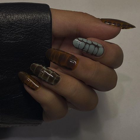 Brown Oval Agate Rings, Croc Nails, Mint Nails, Croc Print, Jelly Nails, Brown Nails, Argan Oil, Nail Tech, Short Nails