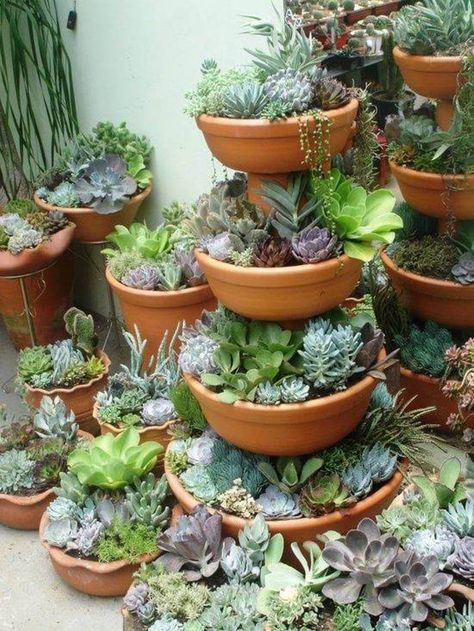 Tiered Terracotta Garden Design | DIY Vertical Garden Ideas Kaktus Dan Sukulen, Tiered Planter, Vertical Vegetable Garden, Container Garden Design, نباتات منزلية, Vertical Garden Diy, Container Gardening Flowers, Succulent Gardening, Succulents In Containers