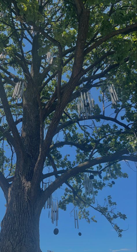 Windchime Aesthetic, Windchimes Aesthetic, Wind Chimes, Nature