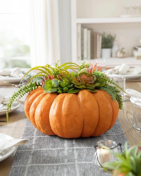 PRICES MAY VARY. All products in this collection feature assorted succulents set in a lifelike pumpkin Pumpkin is crafted from resin Painted by hand Measures 16" in diameter x 12" high For indoor or covered outdoor use Dress up your celebrations with this charming centerpiece to delight guests and loved ones. Display on its own or arrange with other natural accents for an elevated look. Fall Hanging Baskets, Succulent Pumpkin, Pumpkin Centerpiece, Slim Tree, Purple Succulents, Pretty Pumpkins, Fall Flower Arrangements, Artificial Pumpkins, Harvest Pumpkin