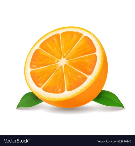 Fruit Clipart, Orange Icons:), Fruits Drawing, Food Clipart, Fruits Images, Fruit Illustration, Fruit Painting, Vector Flowers, Orange Fruit