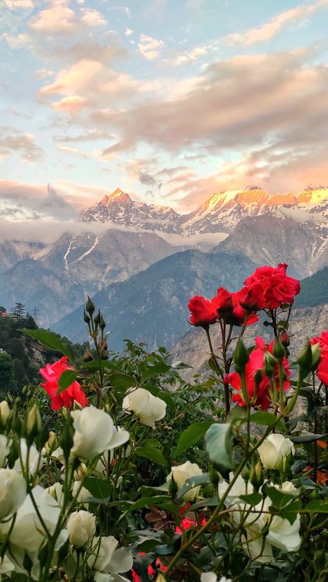 Views To Draw, Kinner Kailash, North Pakistan, Phone Screen Ideas, Mountain Landscape Photography, Cool Pictures For Wallpaper, Home Artwork, A Little Princess, Colors Of Nature