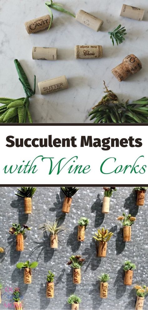 Quick And Easy DIY Wine Cork Succulent Magnets Our Crafty Mom Cork Magnets Diy, Succulent Magnets, Cork Magnet, Cork Diy Projects, Magnets Diy, Wine Cork Diy Crafts, Wine Cork Projects, Wine Crafts, Cork Crafts Diy