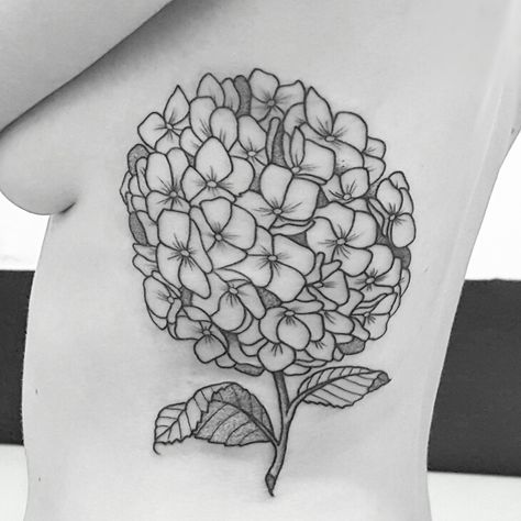 black Hydrangea floral rib tattoo illustration Hydrangea Tattoo Black, Hydrangea Tattoos, Blue Hydrangea Bush, Tattoo Full Sleeve, Half Sleeve Ideas, Batman Tattoos, Horror Tattoo Ideas, Hydrangea Tattoo, Second Tattoo