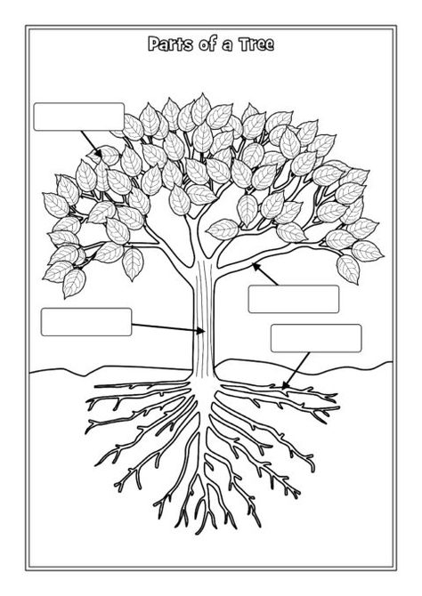 Parts of a Tree Labelling Worksheets (SB12381) - SparkleBox Parts Of A Tree Printable, Parts Of A Tree Preschool, Tree Printable Free, Parts Of A Tree, Tree Worksheet, Plants Worksheets, Family Tree Worksheet, Subtraction Kindergarten, Preschool Garden