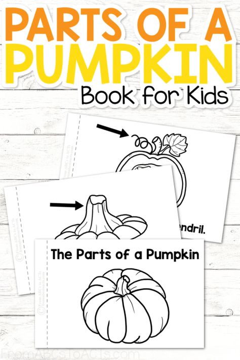 Pumpkin Activities Kindergarten, Pumpkin Parts, Parts Of A Pumpkin, Planting Pumpkins, Pumpkin Books, Pumpkin Craft, Busy Books, Printable Books, Educational Printables