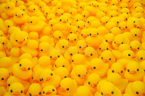 Rubber duck. Group of yellow rubber duck #Sponsored , #AFFILIATE, #sponsored, #duck, #yellow, #Group, #Rubber Duck Memes, Strawberry Drawing, Yellow Rubber Duck, Duck Float, Duck Pictures, Duck Art, Quack Quack, Rubber Ducks, Yellow Duck