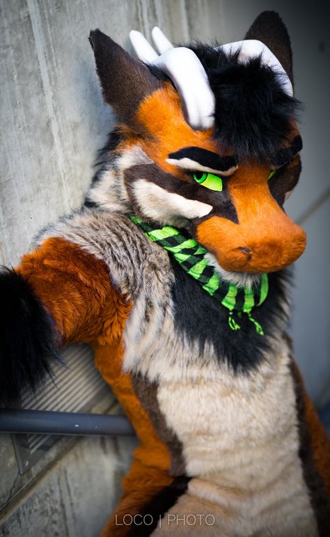 RykerHusky | MuddyCon 3.0/ RaithCon 1.0 | BLFC (@RykerHusky) on Twitter Cool Fursuits, Fursuits For Sale, Colorful Fursuits, Crazy Cool Fursuits, Kig Fursuit, Fursuit Ideas, Fur Suits, Fursuit Head, Bird Costume