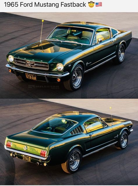 65 Mustang Fastback, Aesthetic Car Accessories, Ford Mustang Classic, Ford Mustang 1964, Tokyo Drift Cars, Hd Photography, 65 Mustang, Tokyo Drift, Rolls Royce Wraith