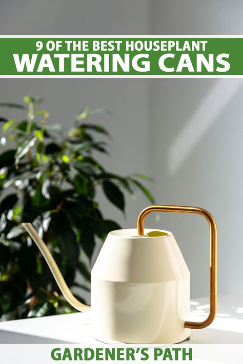 A close up vertical image of a small watering can on a white surface with a houseplant in soft focus in the background. To the top and bottom of the frame is green and white printed text. Green Backyard, Plant Watering Can, Indoor Plants Styling, Air Cleaning Plants, Indoor Watering Can, Houseplant Care, Farm Projects, Watering Cans, Growing Plants Indoors